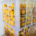 Nanfeng Baby Mandarin Top